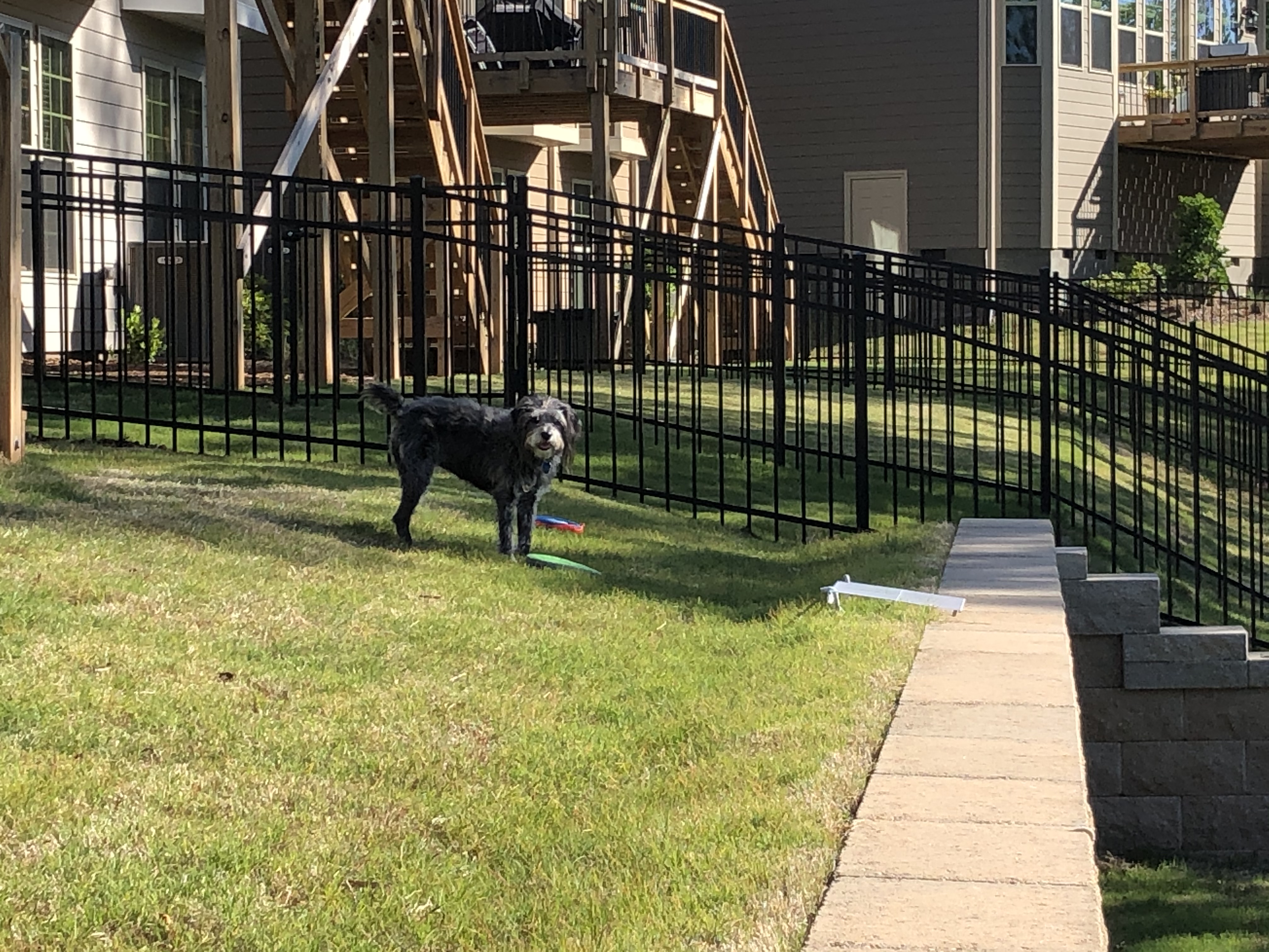 ./2020/04 - May/IMG_2131.JPG